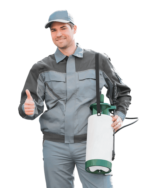 professioneller Kammerjäger Service